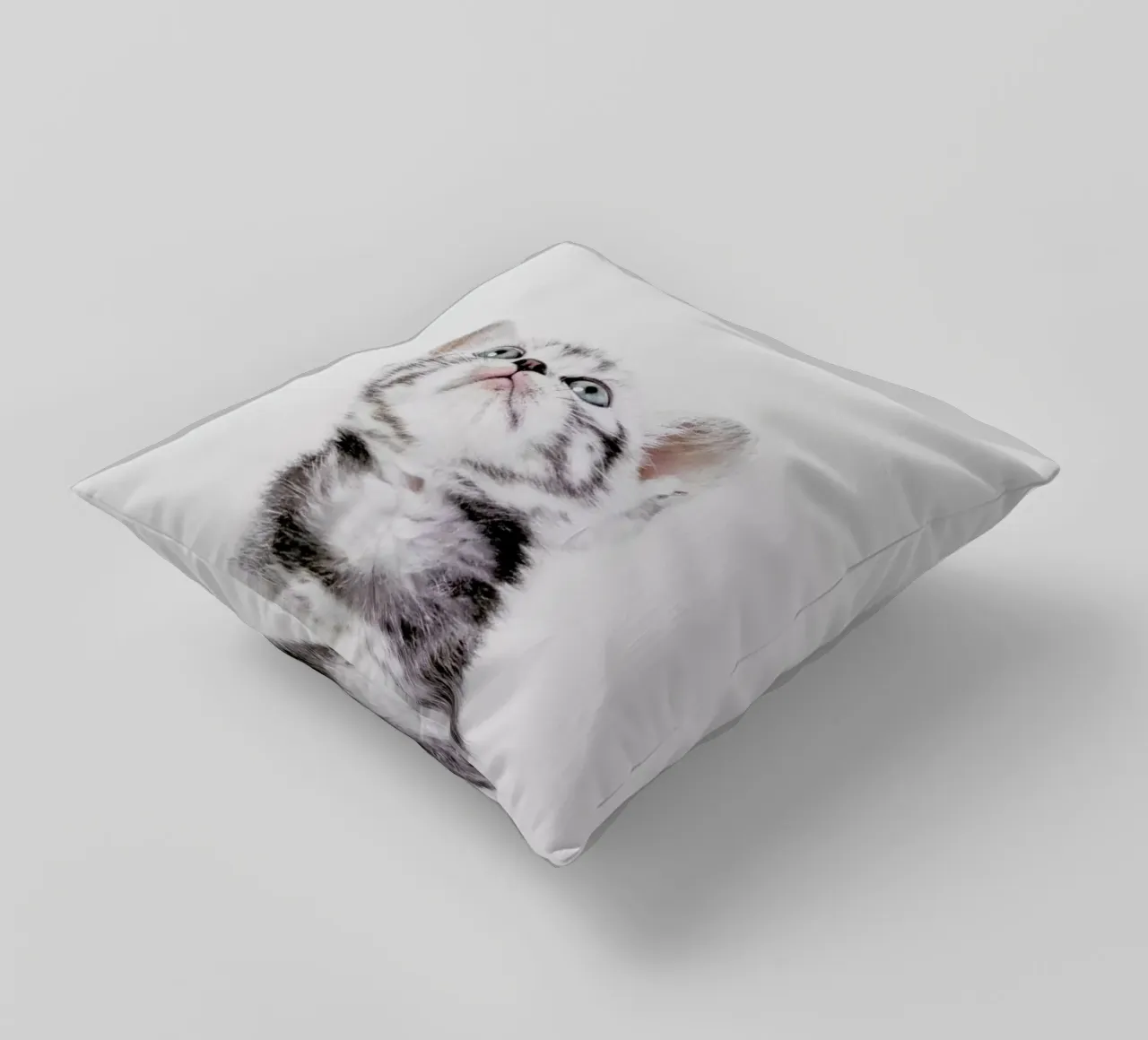 Kitten cuscino da Paws & Claws