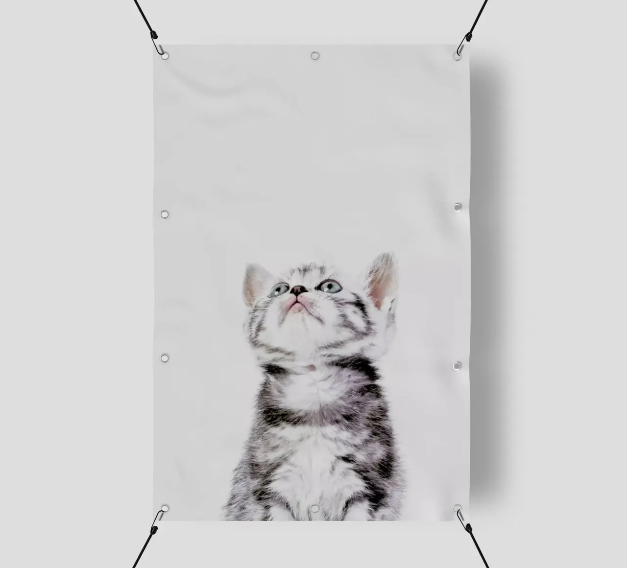 Kitten telo in pvc da Paws & Claws