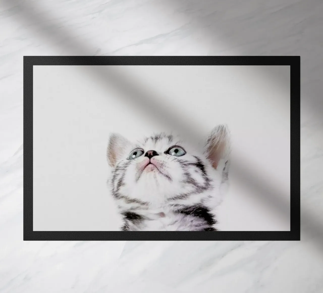 Kitten zerbino da Paws & Claws