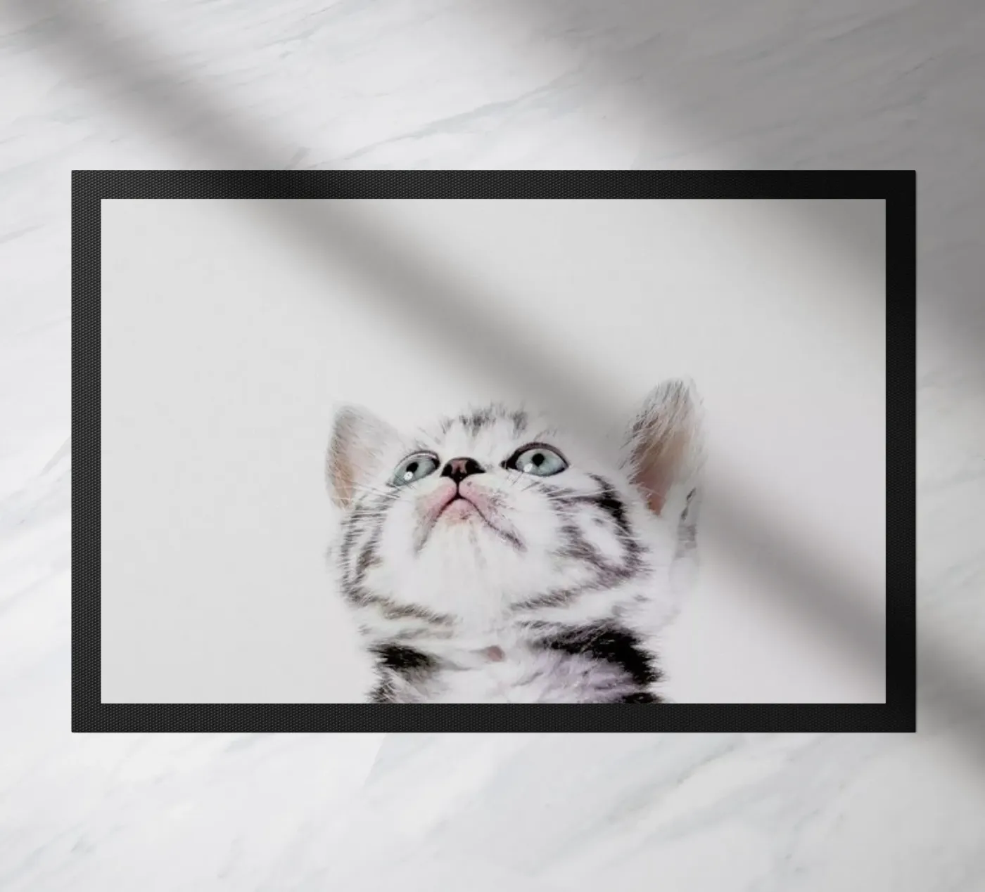 Kitten zerbino da Paws & Claws