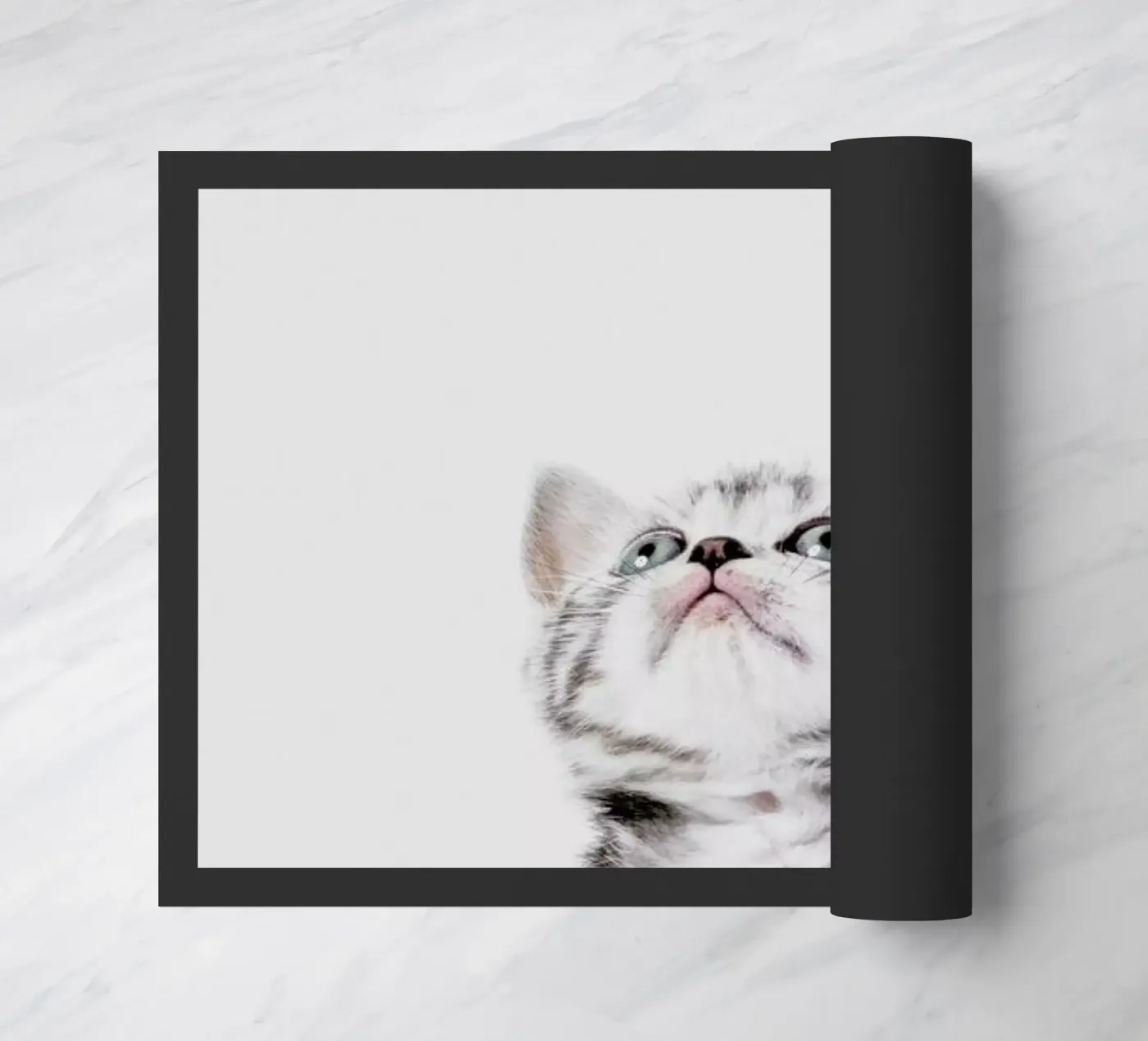 Kitten zerbino da Paws & Claws