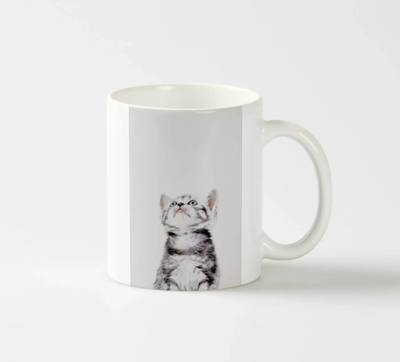 Kitten ceramic mug by Paws & Claws