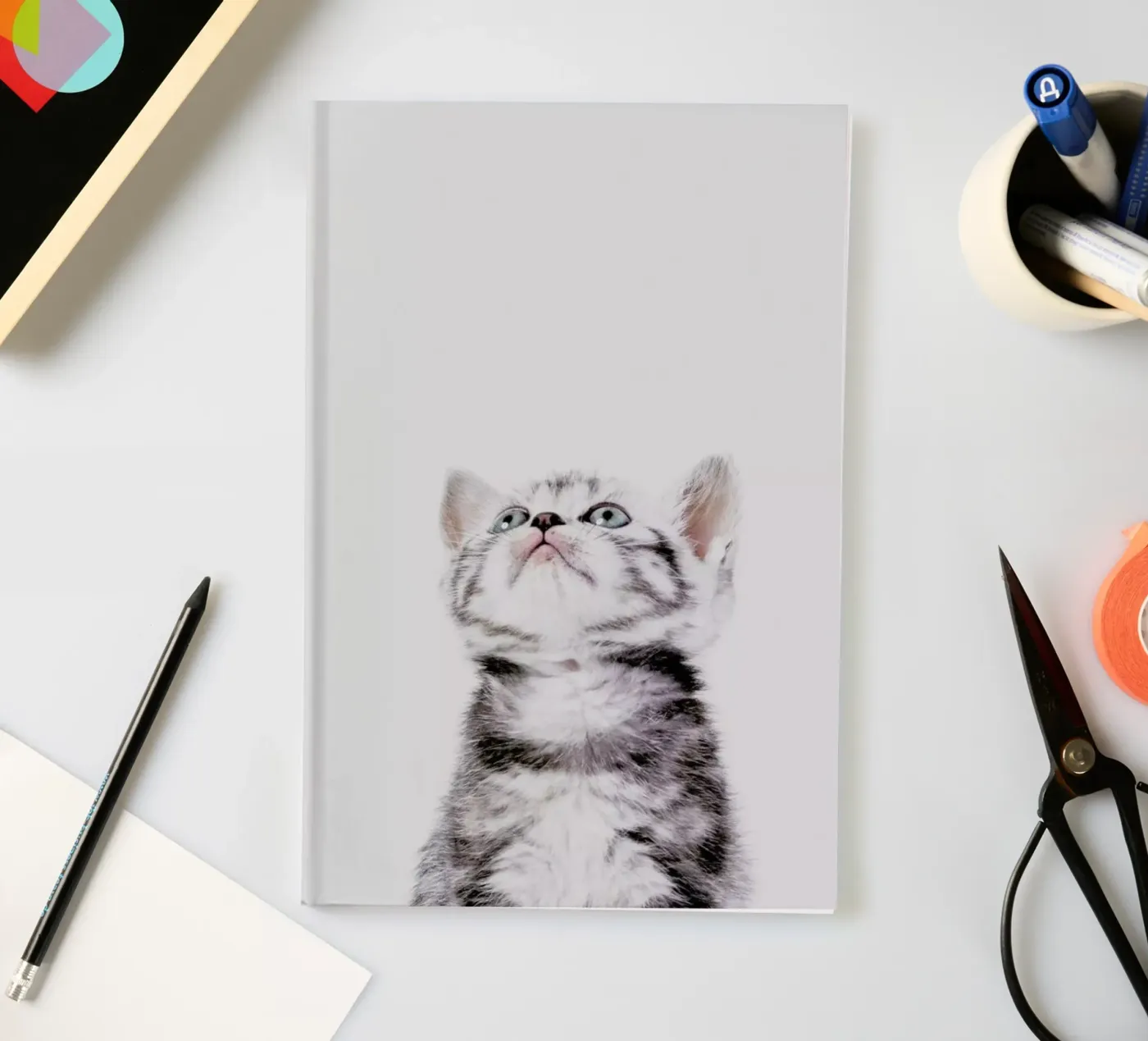 Kitten notebook by Paws & Claws