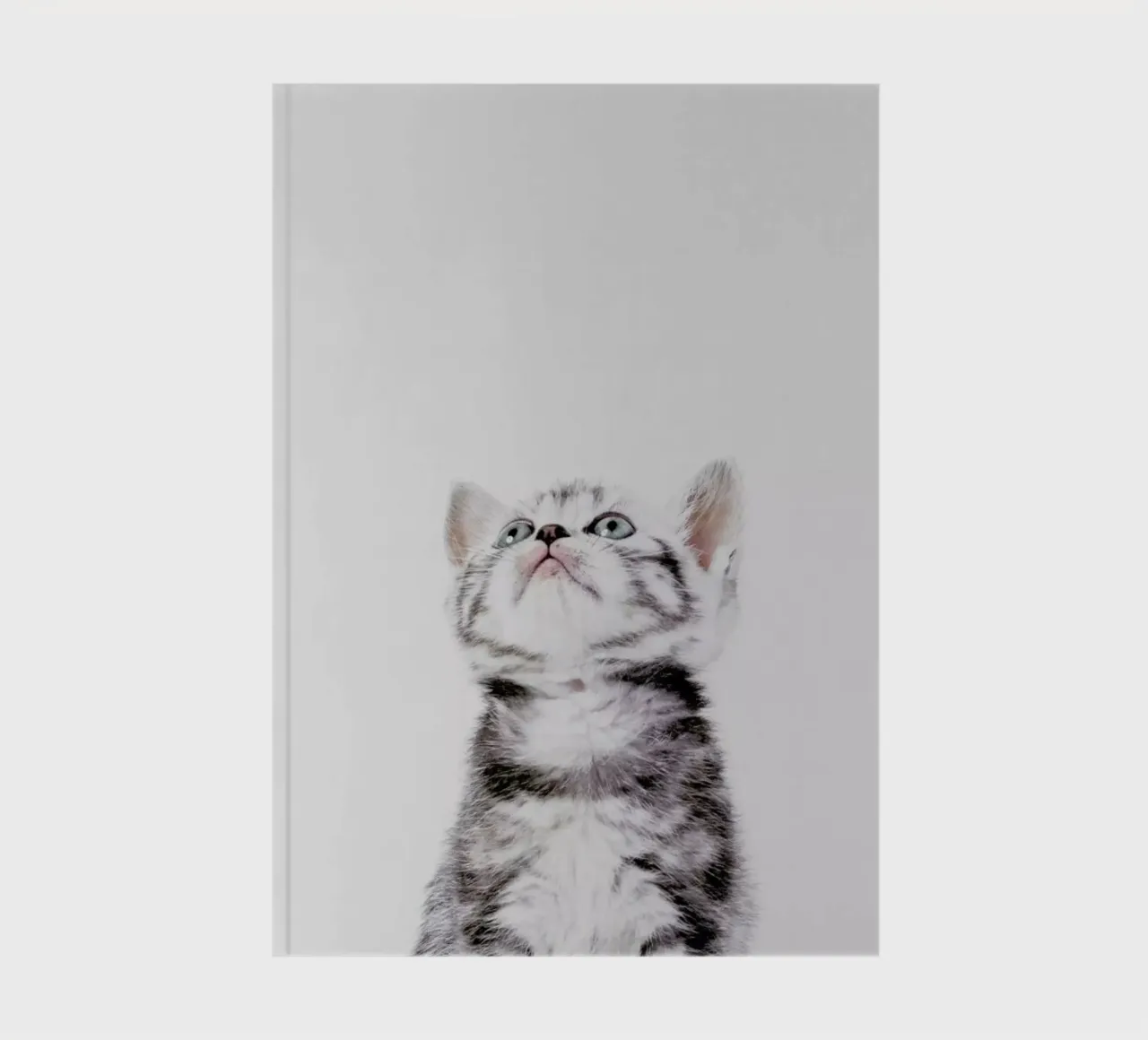 Kitten notebook by Paws & Claws