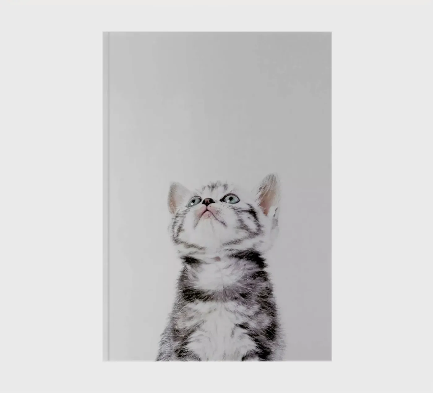 Kitten notebook by Paws & Claws