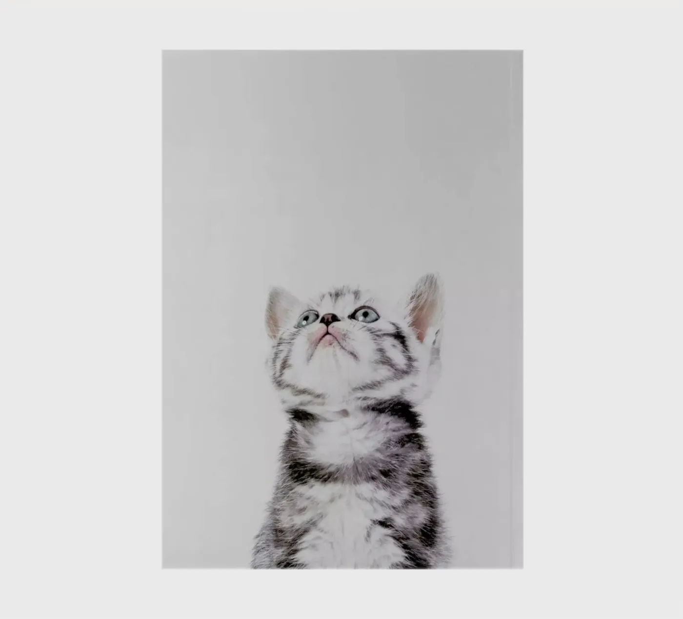 Kitten notebook by Paws & Claws