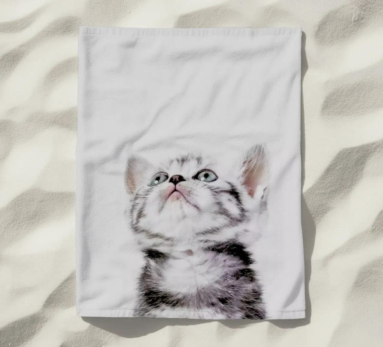 Kitten telo mare da Paws & Claws