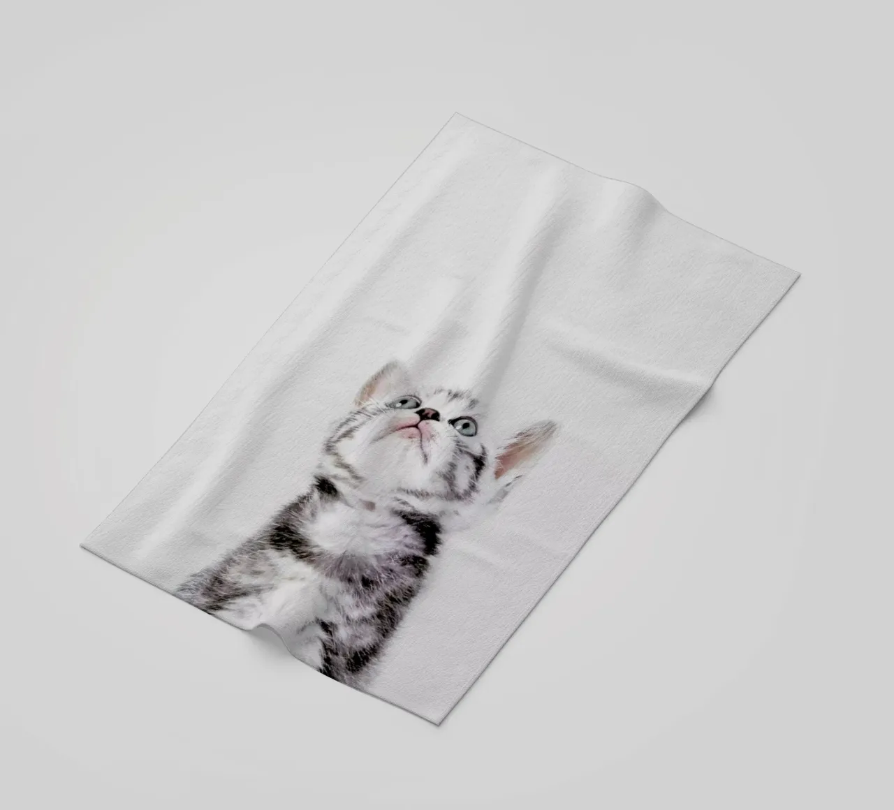 Kitten telo mare da Paws & Claws