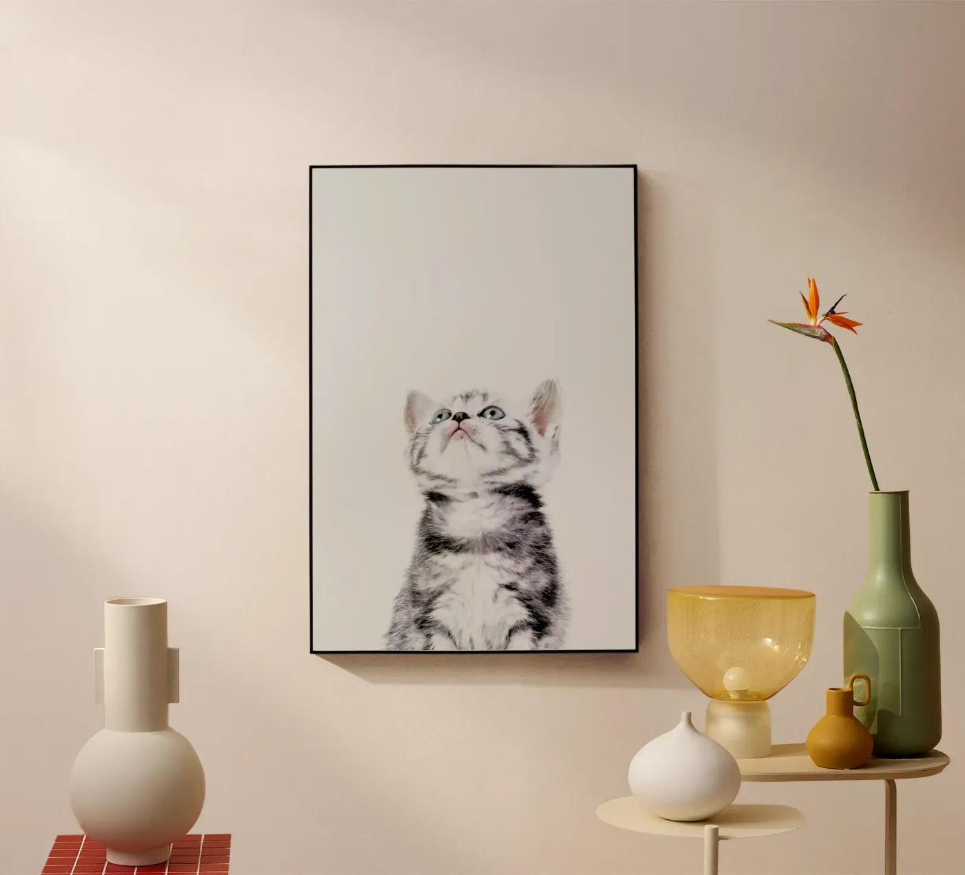 Kitten plexiglass da Paws & Claws