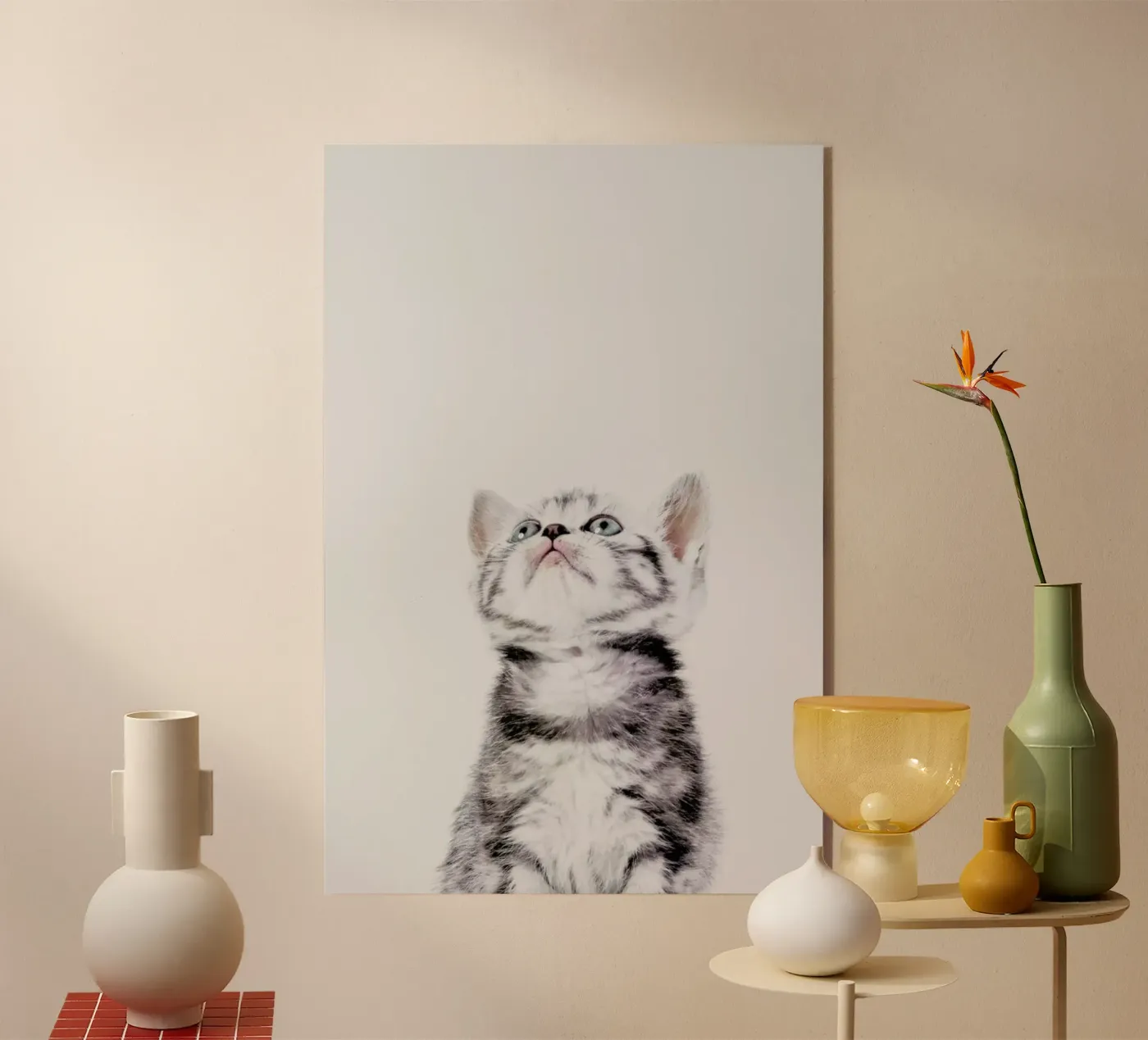 Kitten plexiglass da Paws & Claws