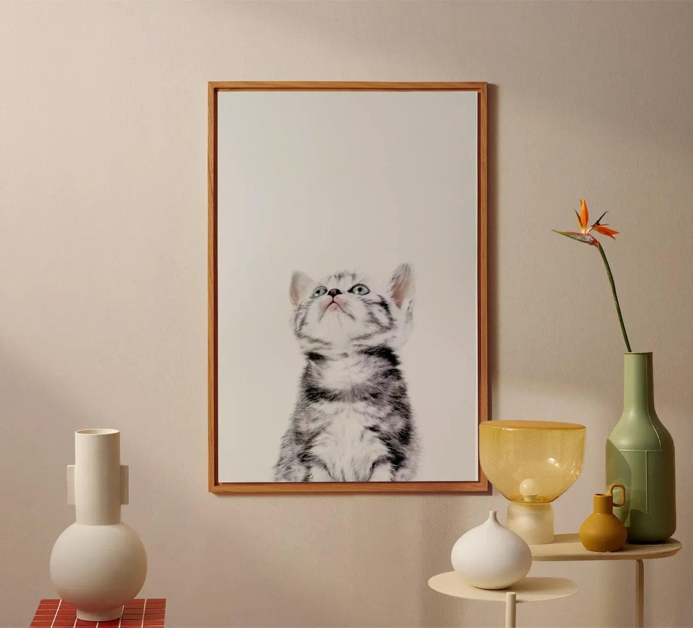 Kitten alluminio dibond da Paws & Claws