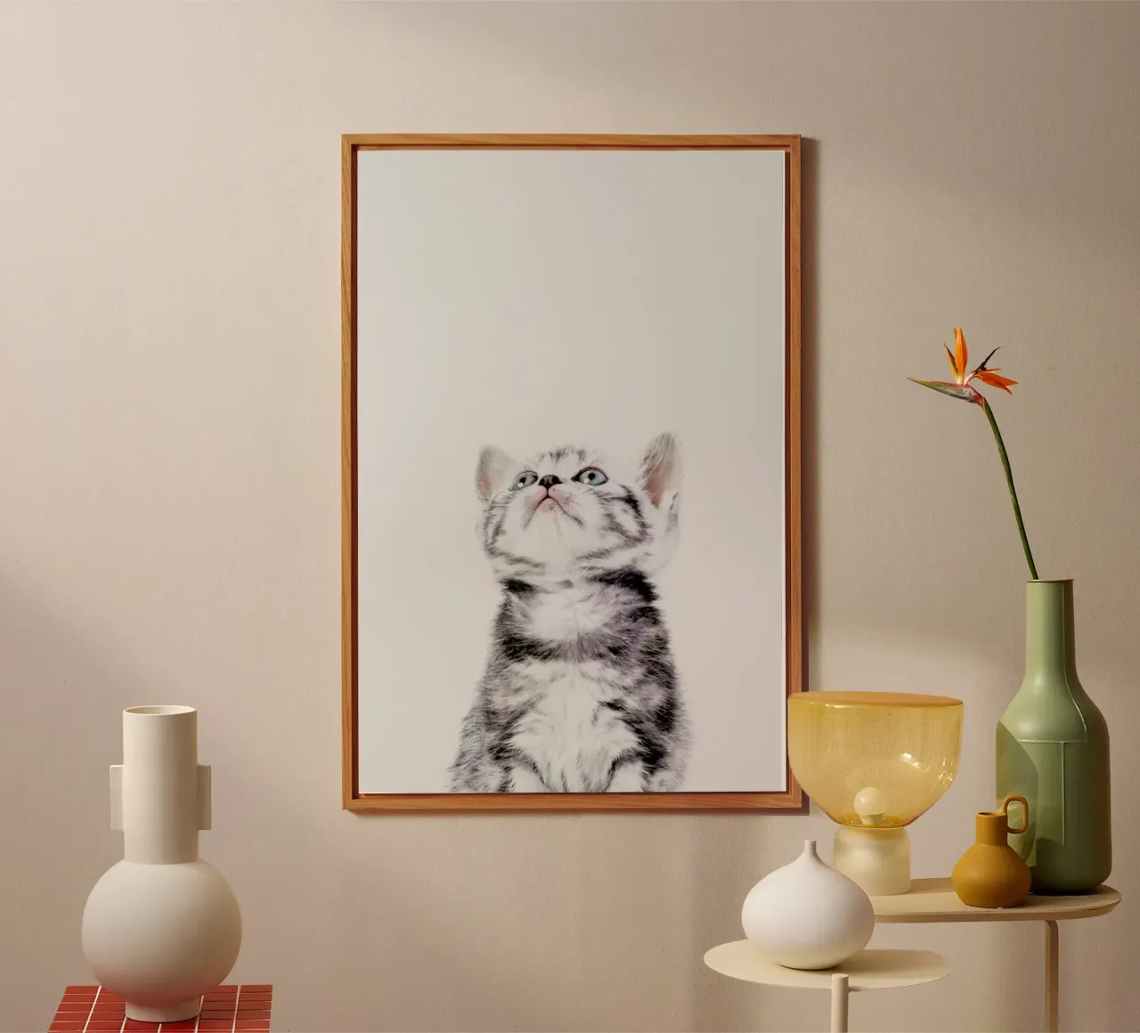 Kitten alluminio dibond da Paws & Claws