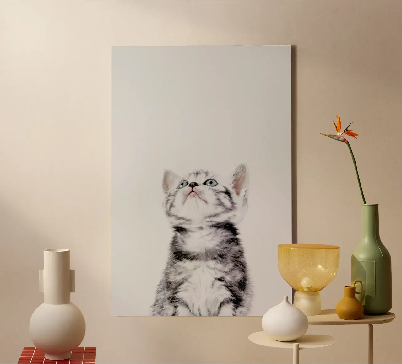 Kitten tela da Paws & Claws