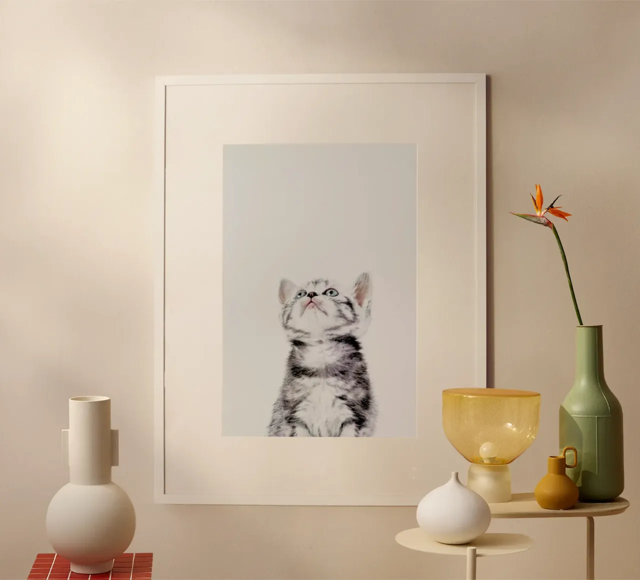 Kitten poster da Paws & Claws