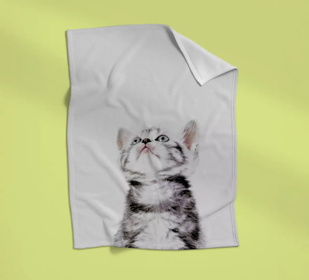 Kitten coperta in pile da Paws & Claws