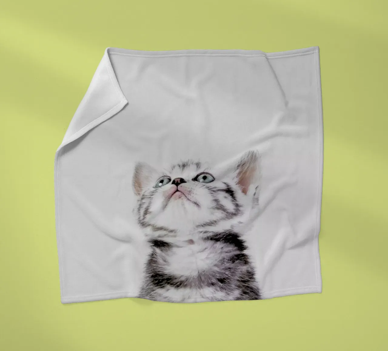 Kitten coperta in pile da Paws & Claws