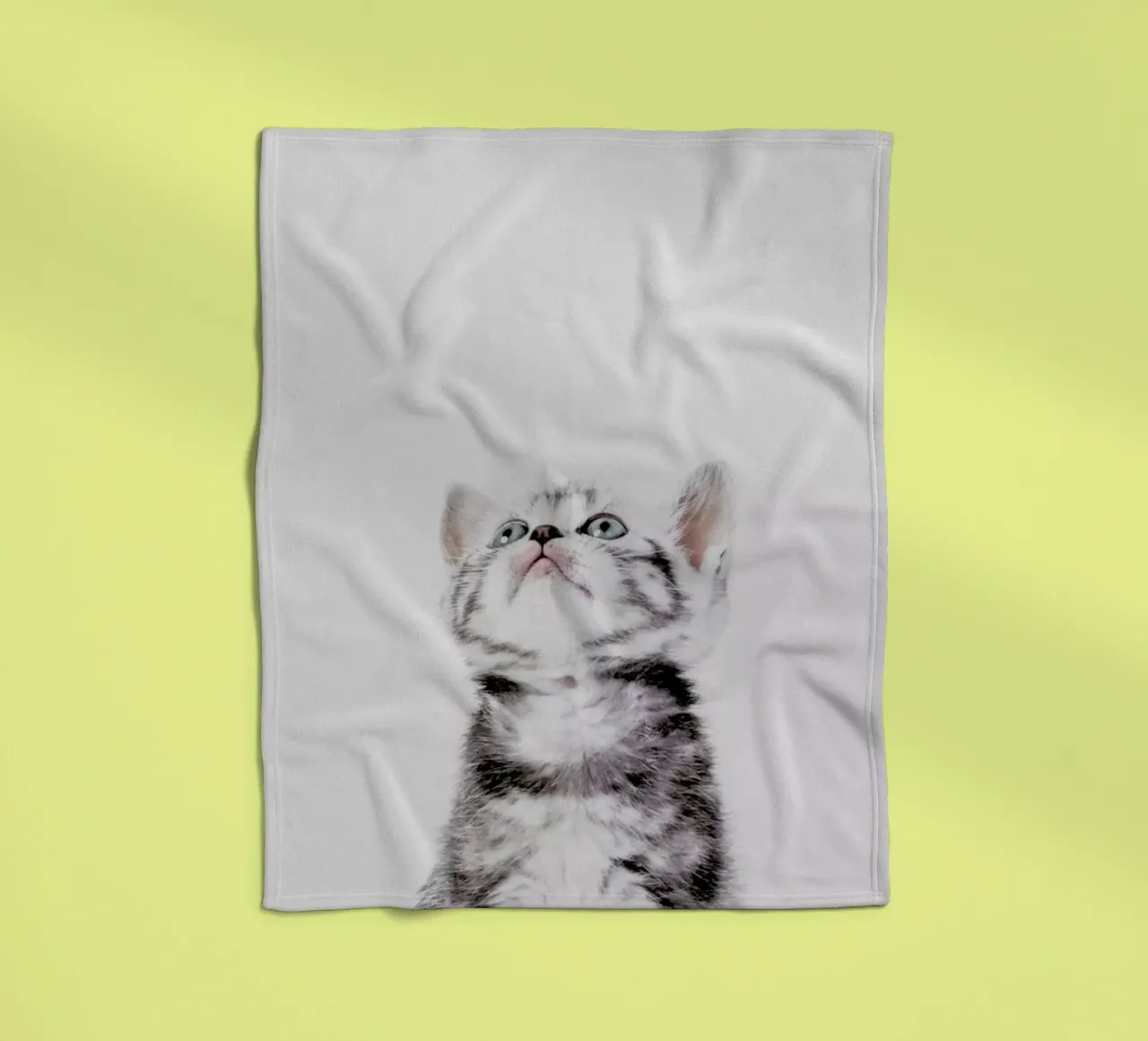 Kitten coperta in pile da Paws & Claws