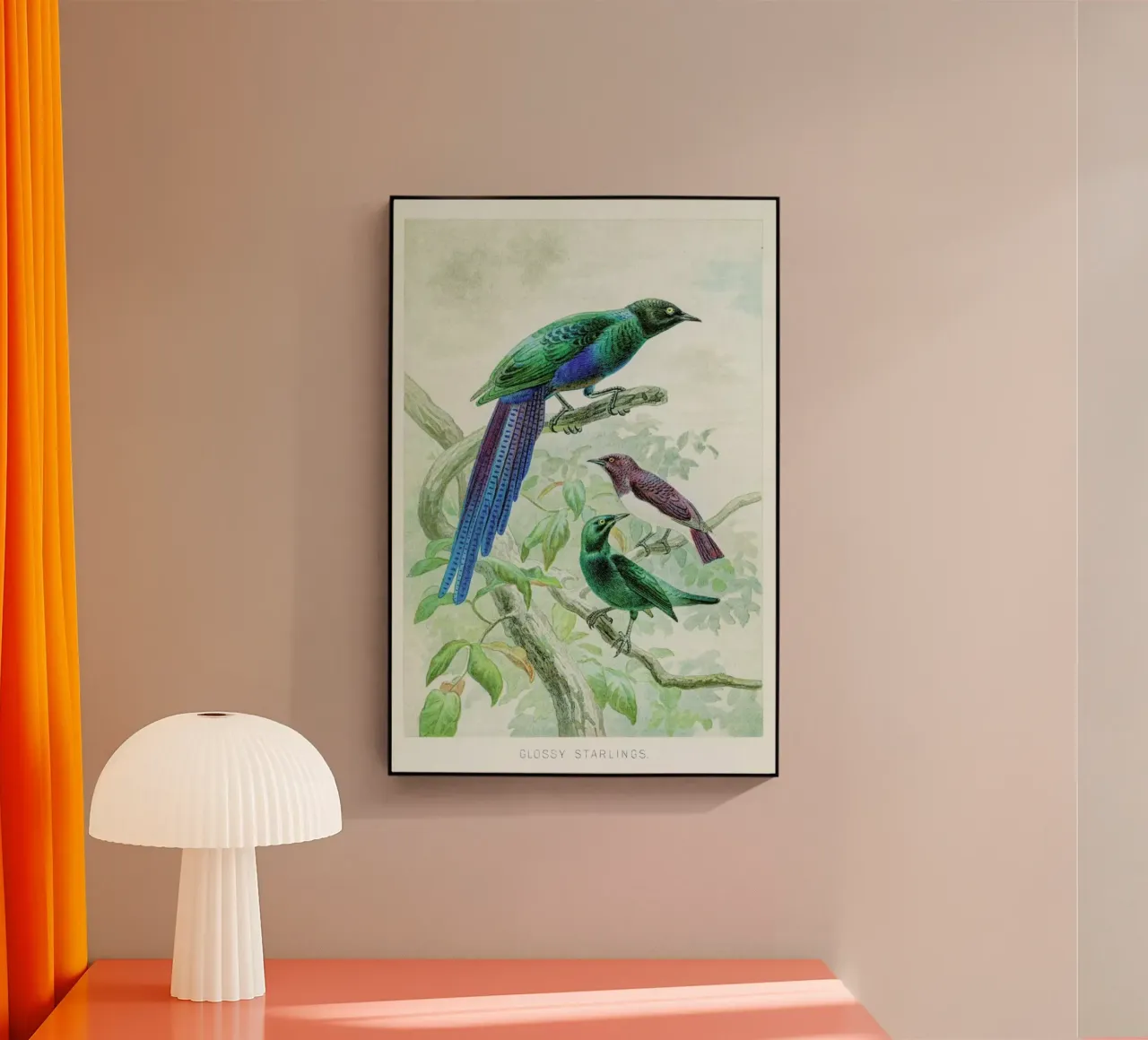 Starlings plexiglass da Flora & Fauna