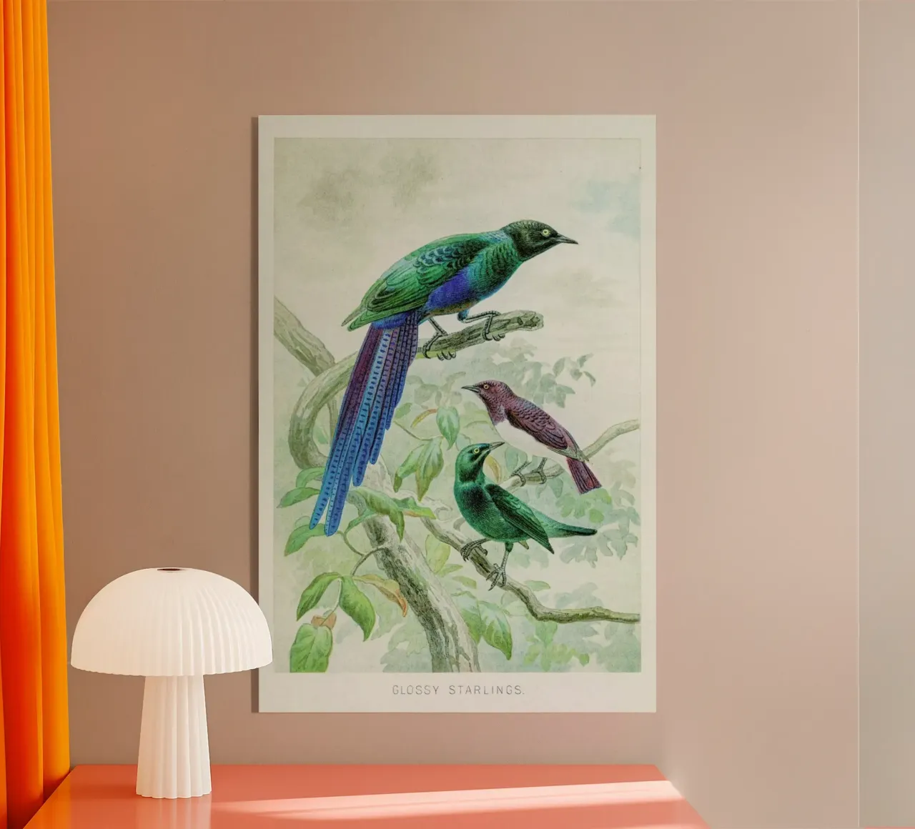 Starlings plexiglass da Flora & Fauna