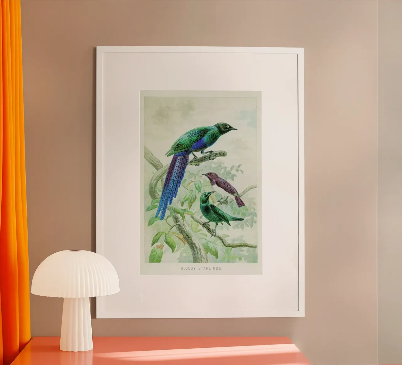 Starlings poster con telaio in legno da Flora & Fauna