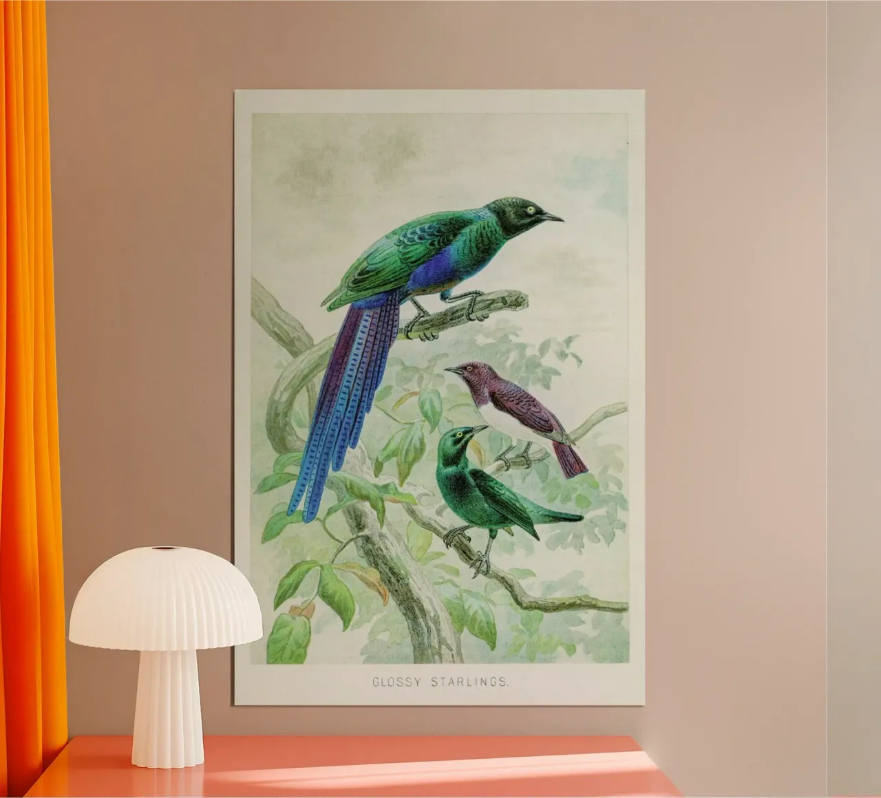 Starlings poster con telaio in legno da Flora & Fauna