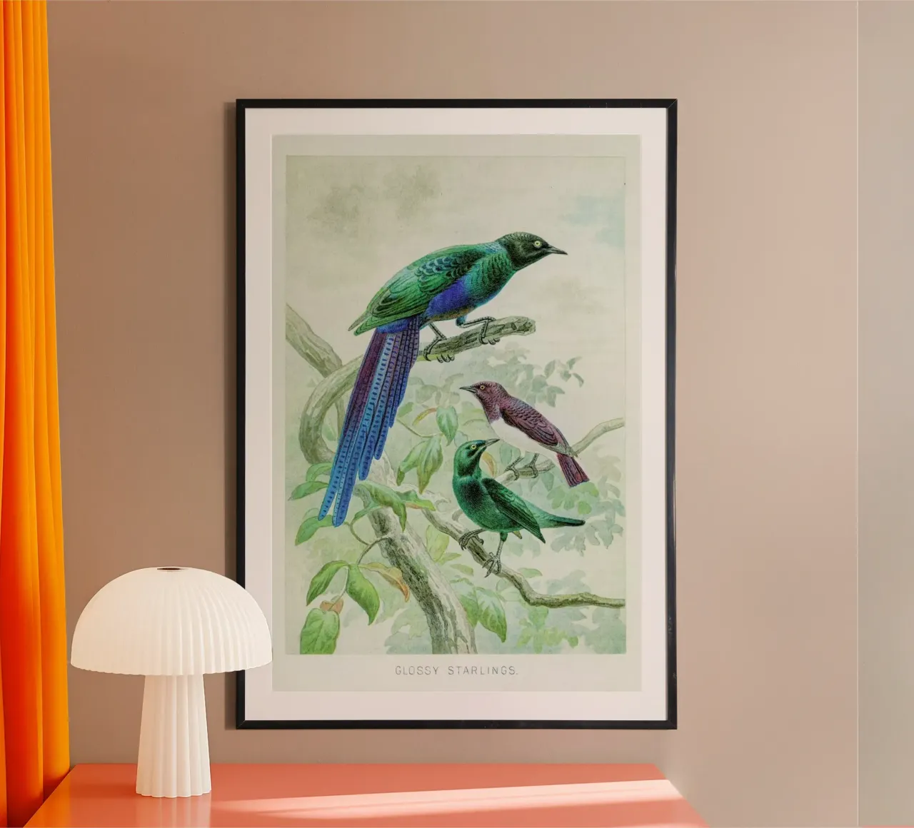 Starlings poster con telaio in legno da Flora & Fauna