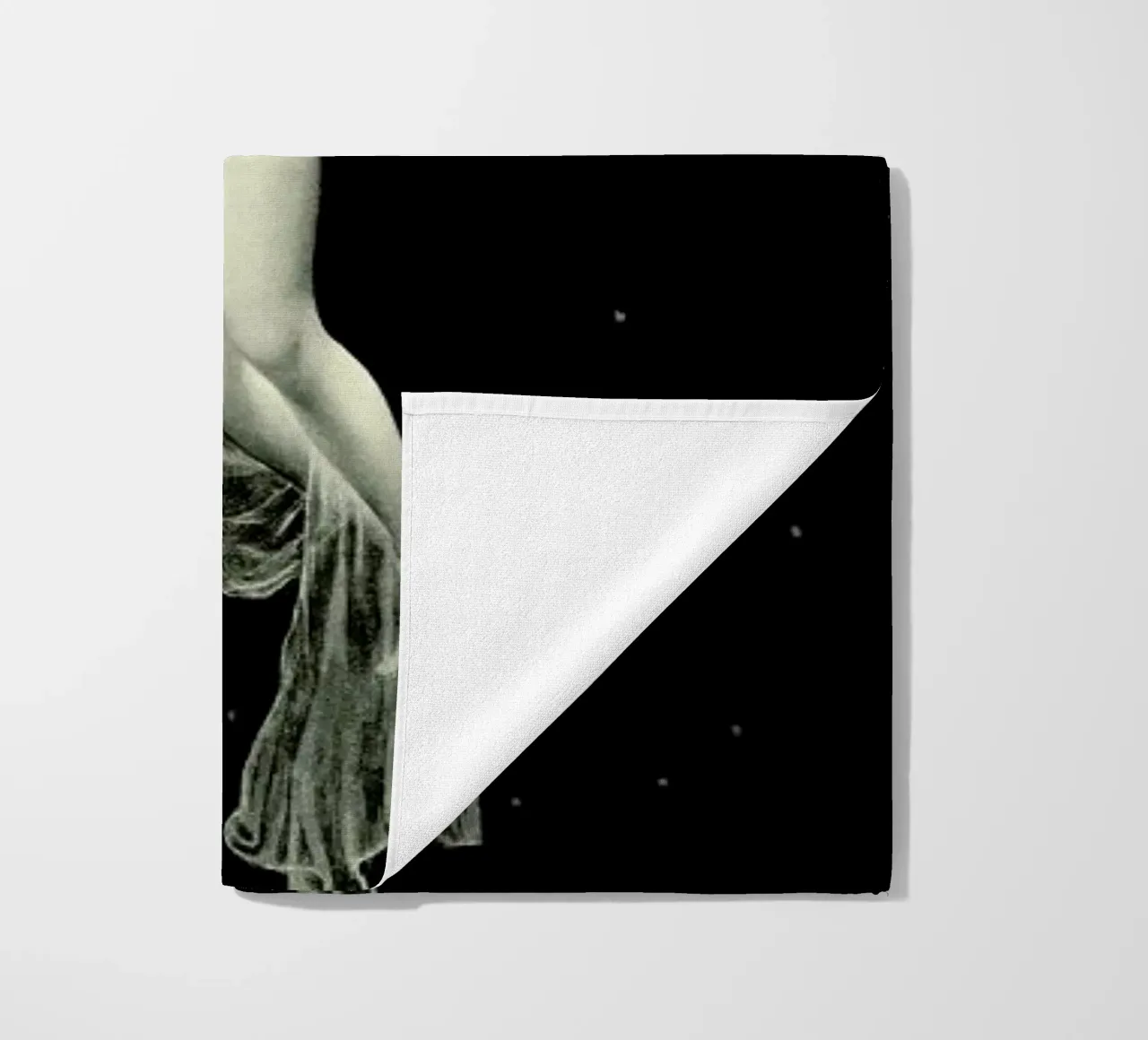 Phoebe telo mare da Flora & Fauna