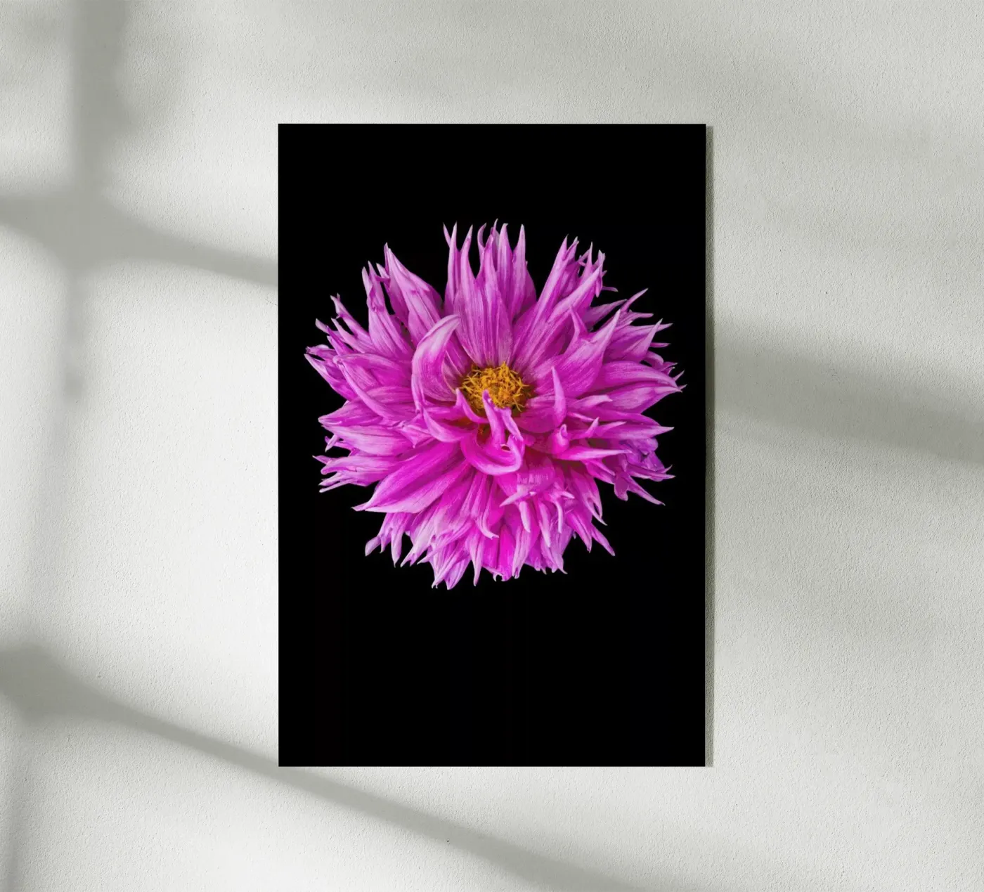 Dahlia 4 acryl van Curious Collections by Marielle Leenders