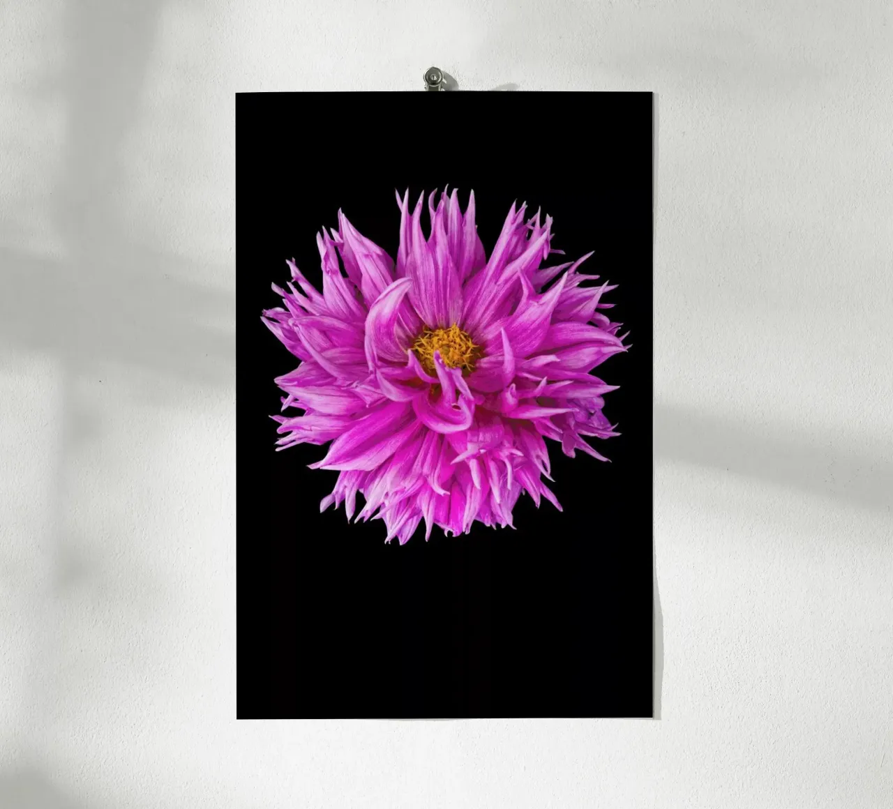 Dahlia 4 carta hahnemühle da Curious Collections by Marielle Leenders