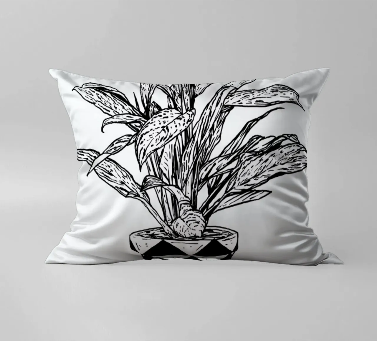 Chinese Evergreen cuscino da Nick Cocozza