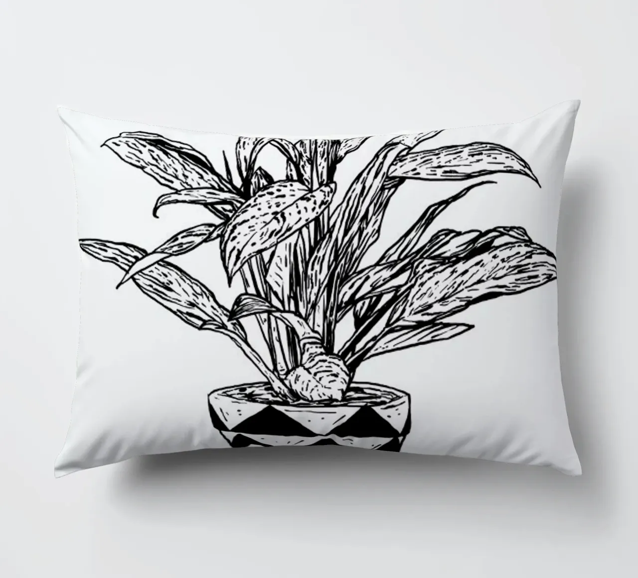 Chinese Evergreen cuscino da Nick Cocozza