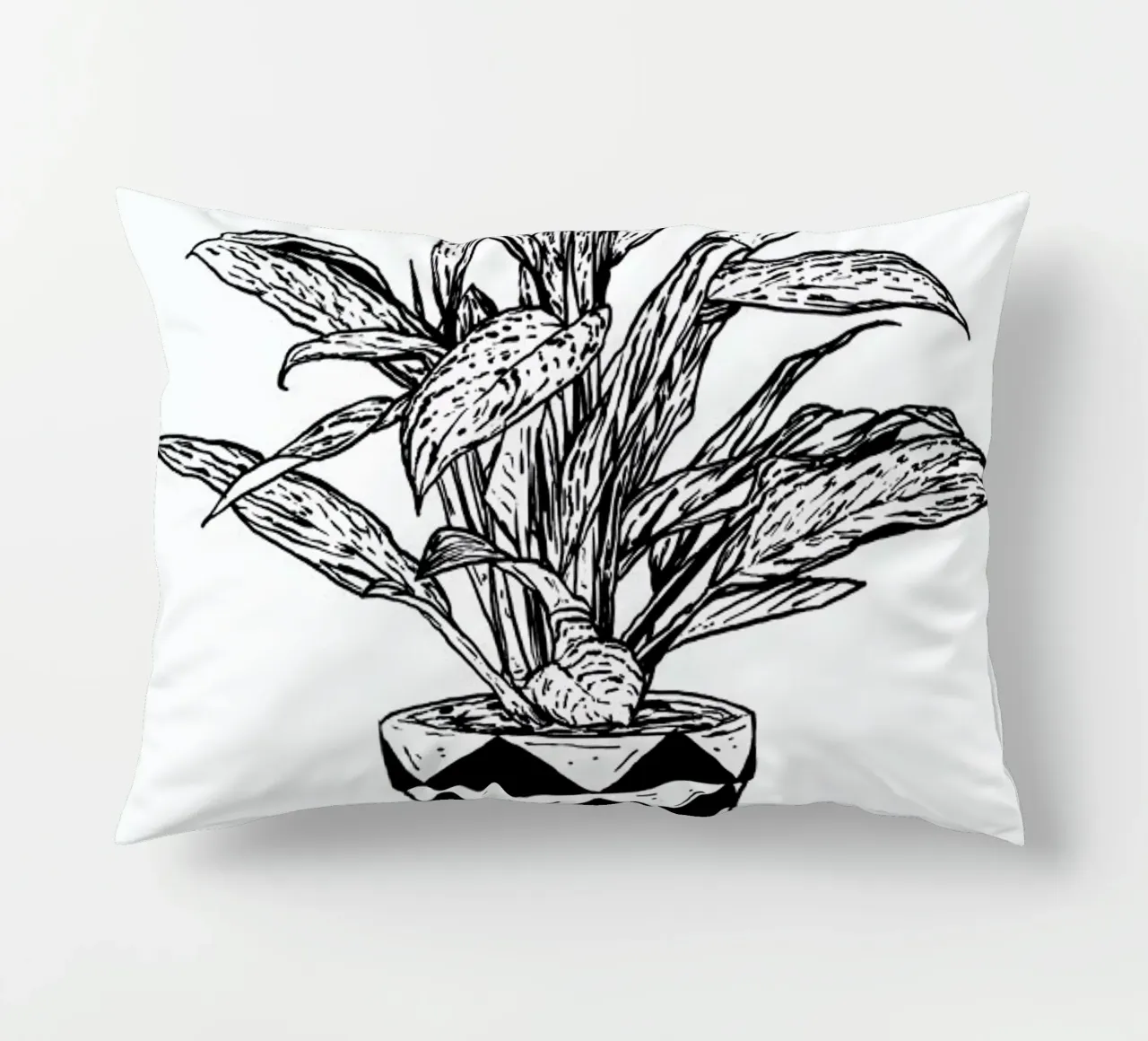 Chinese Evergreen cuscino da Nick Cocozza
