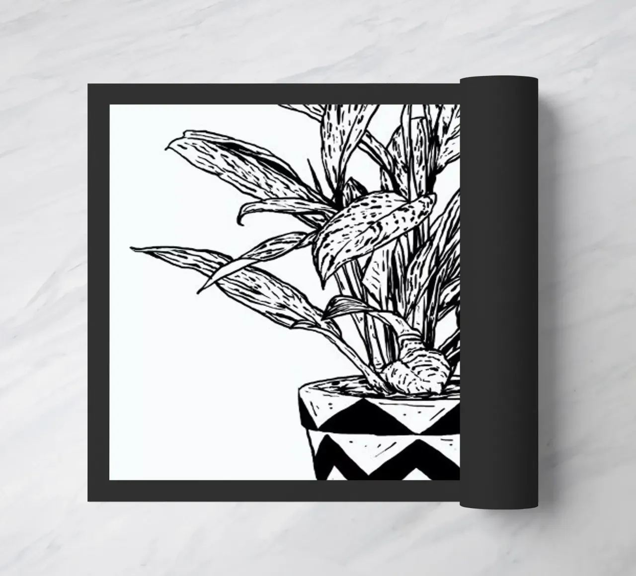 Chinese Evergreen zerbino da Nick Cocozza