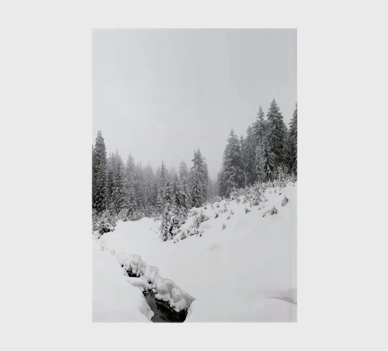 Black River, White Winter Forest diario da Studio Nahili