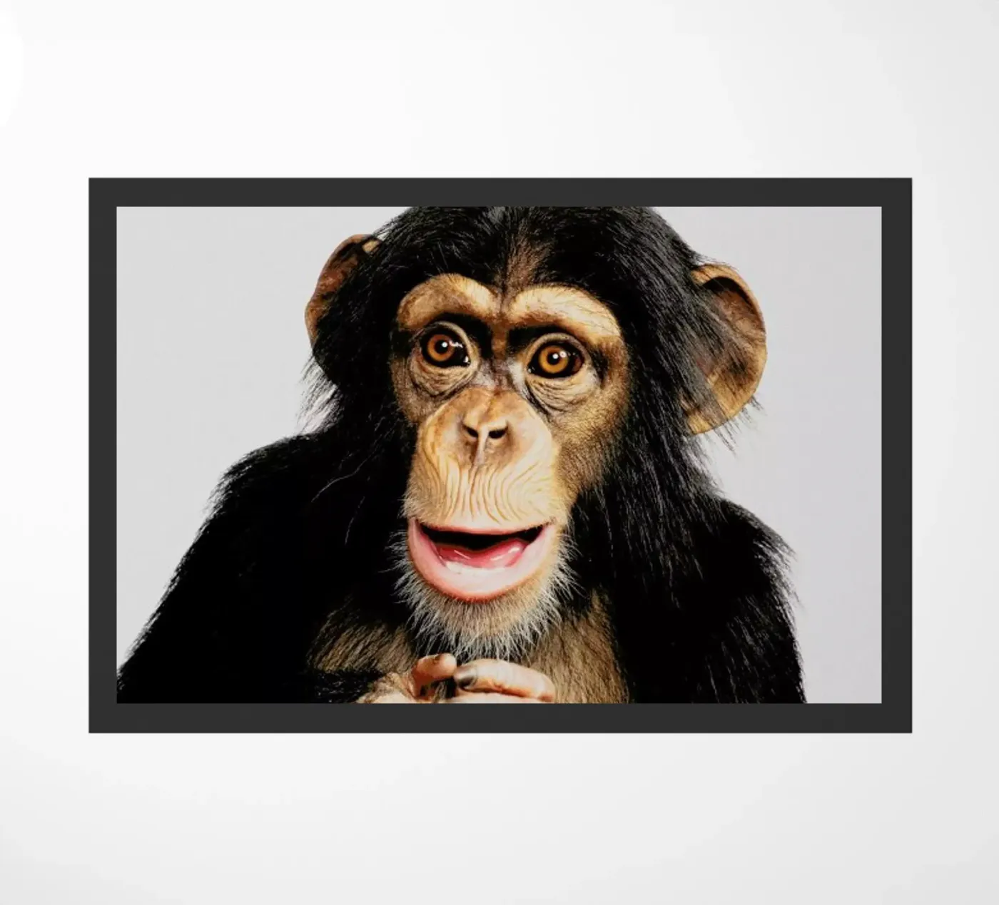 Chimpanzee deurmat van Paws & Claws