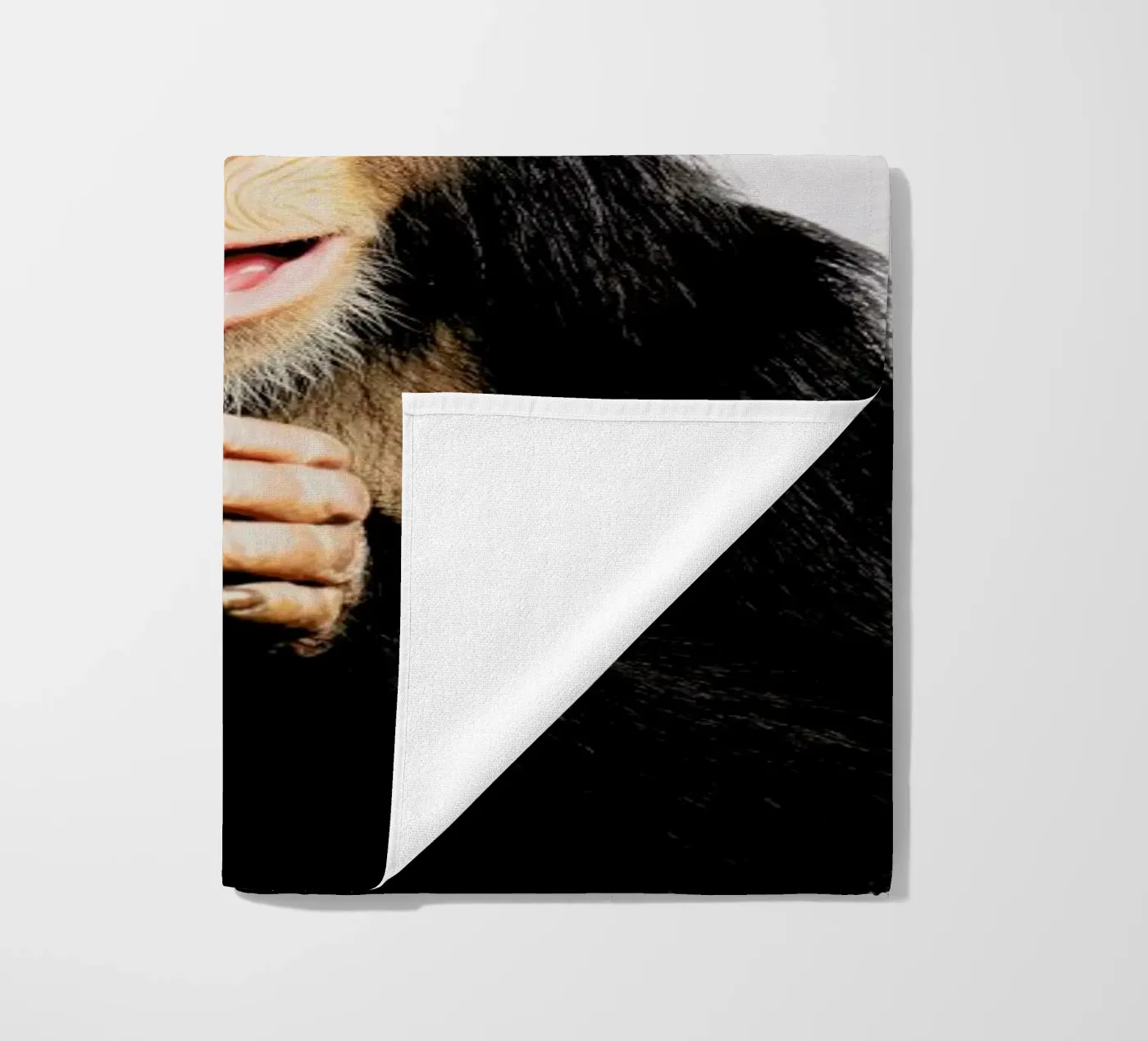 Chimpanzee telo mare da Paws & Claws