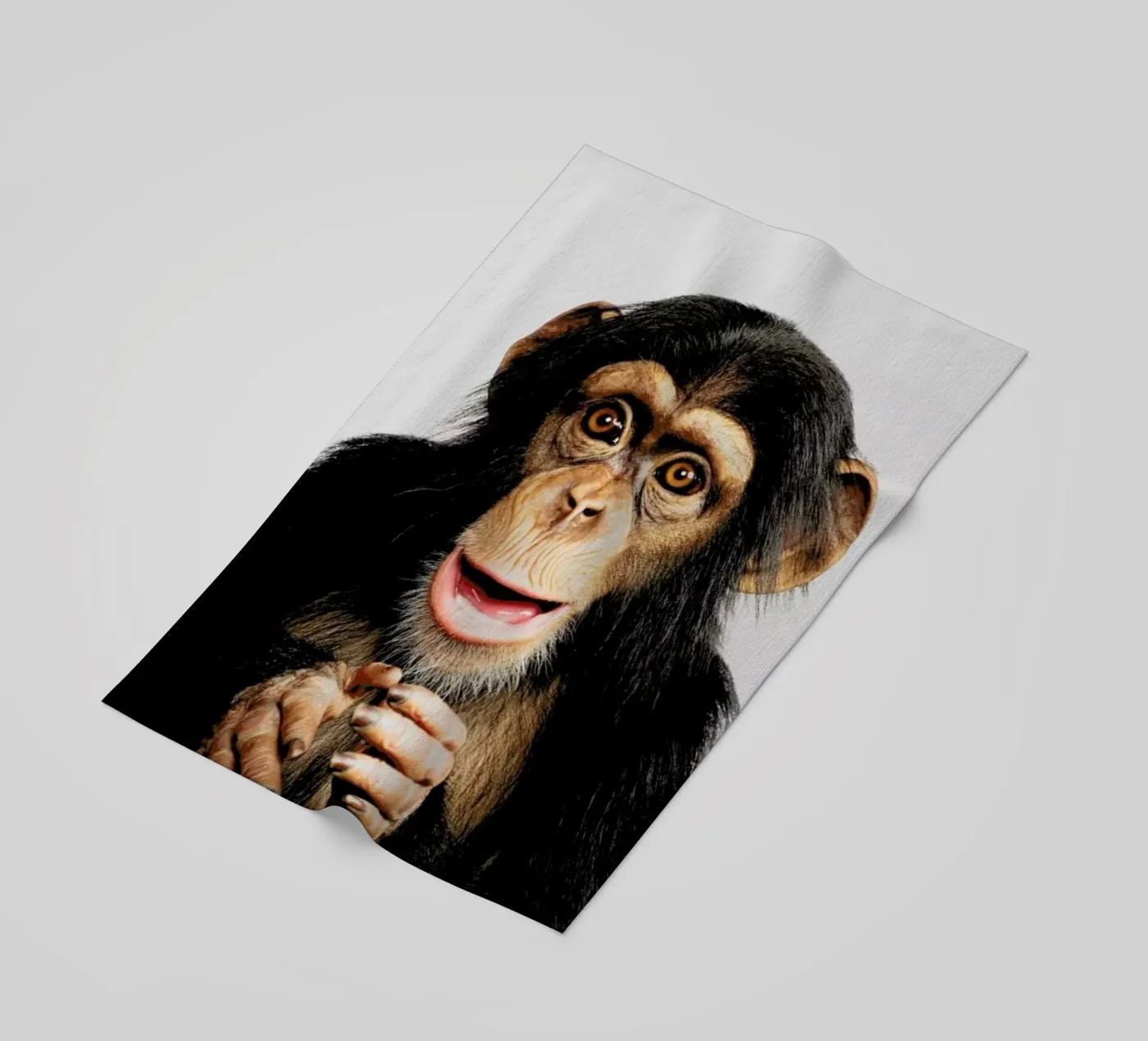 Chimpanzee telo mare da Paws & Claws