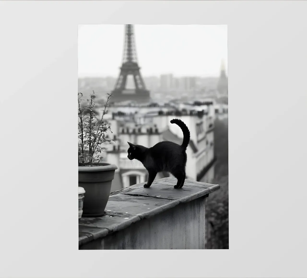 Passerella sui tetti di Parigi pellicola backlit da M-Ulrich-Digital Art