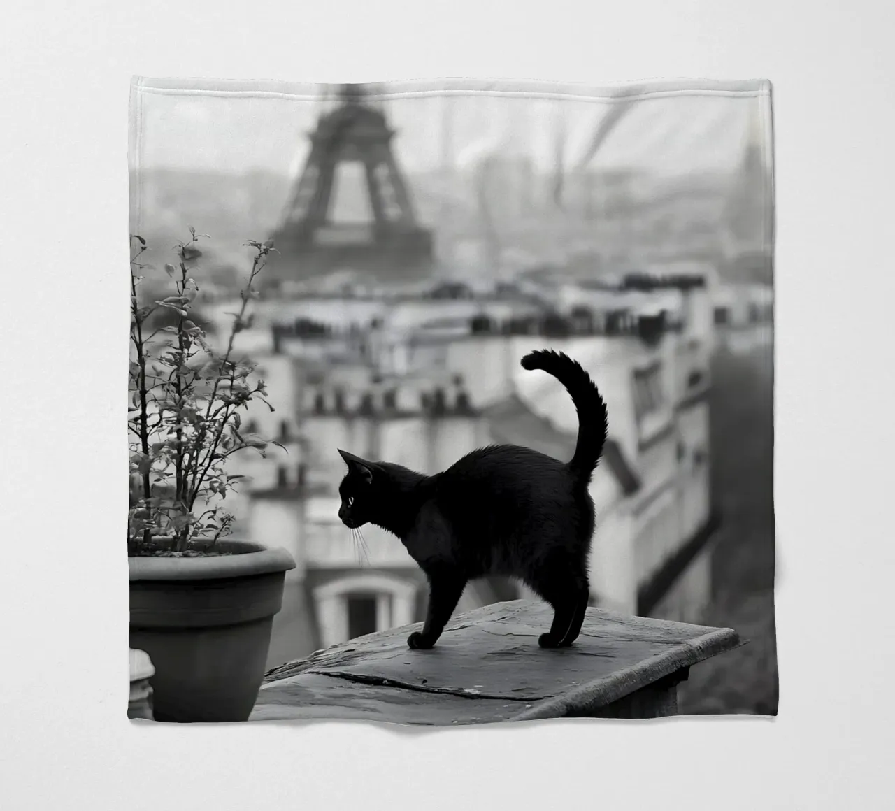 Passerella sui tetti di Parigi coperta in pile da M-Ulrich-Digital Art