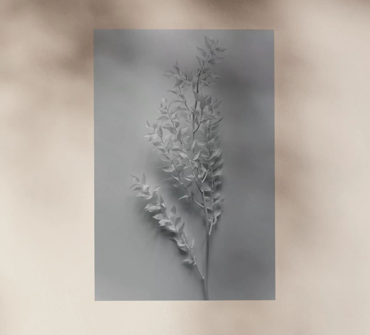 Minimal White Branch pellicola backlit da Studio Nahili