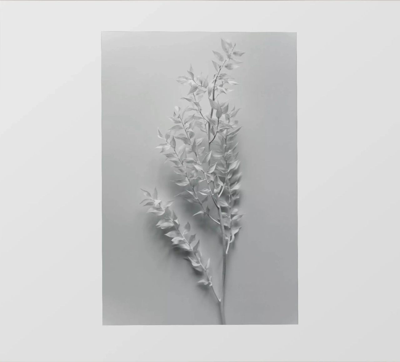 Minimal White Branch pellicola backlit da Studio Nahili