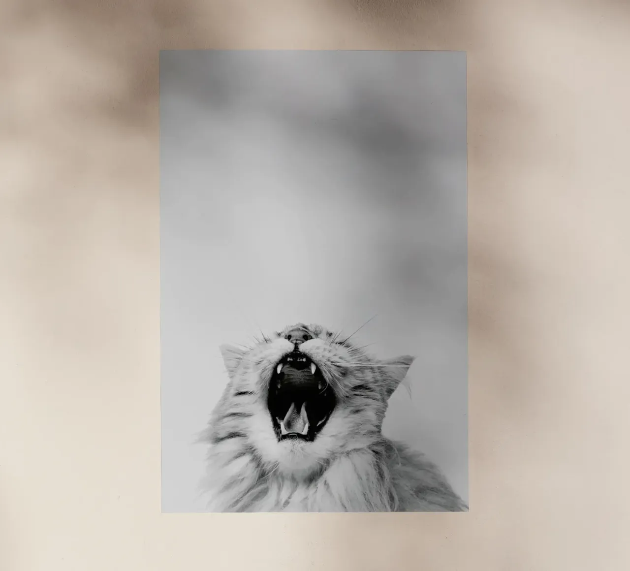 Roar pellicola backlit da Paws & Claws