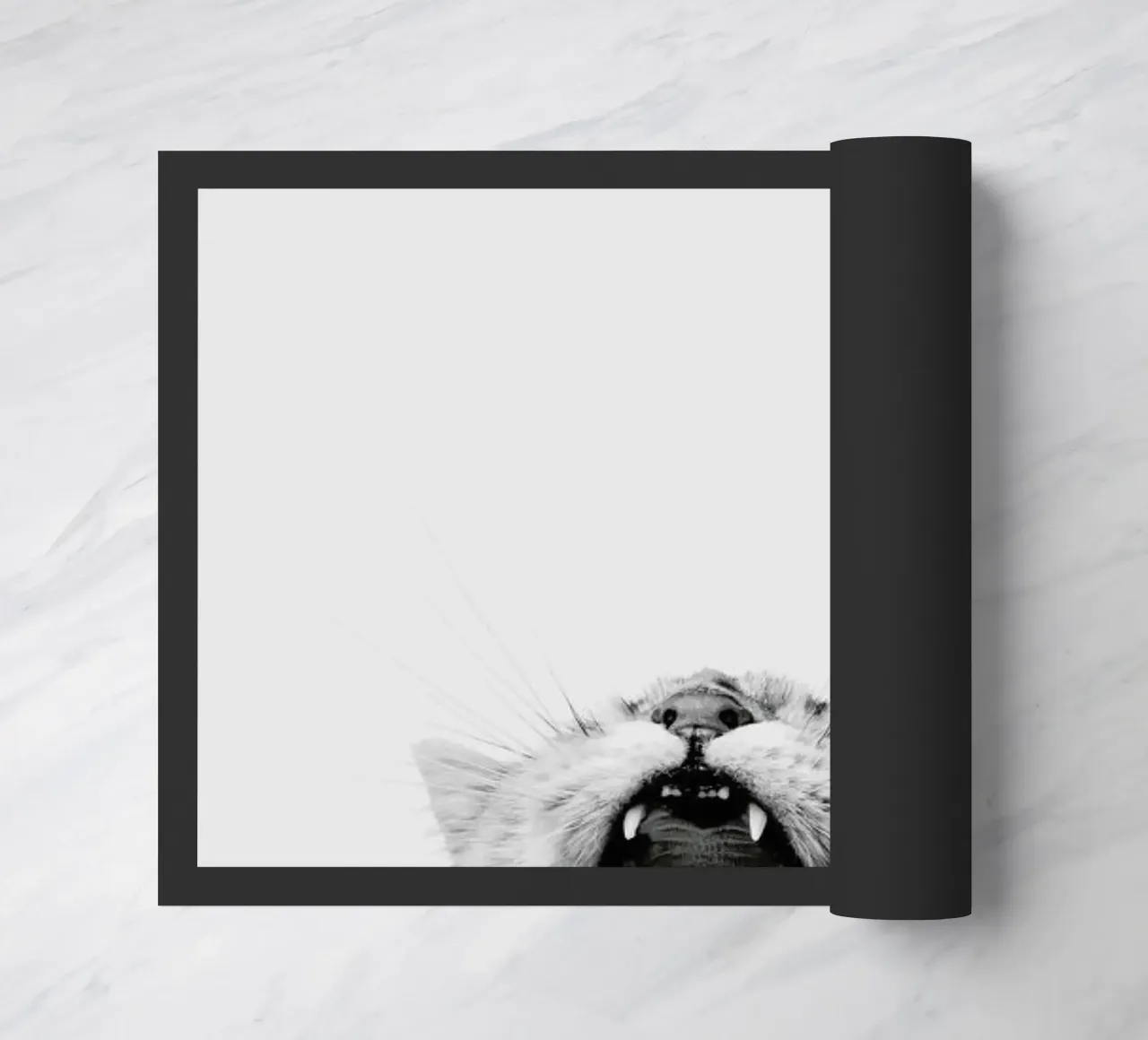 Roar zerbino da Paws & Claws