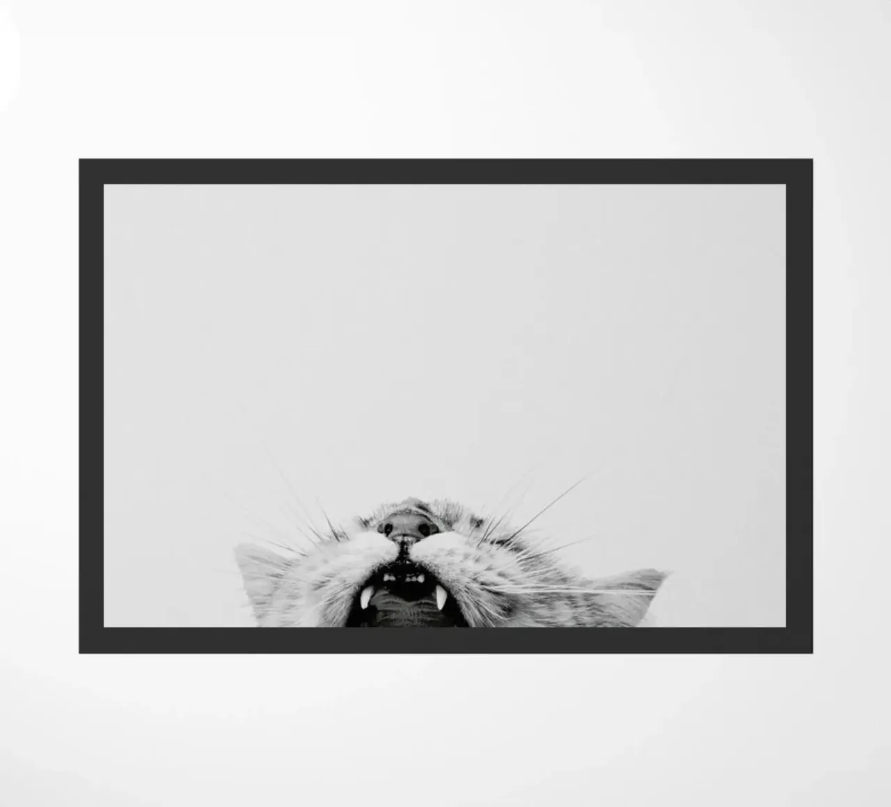 Roar zerbino da Paws & Claws