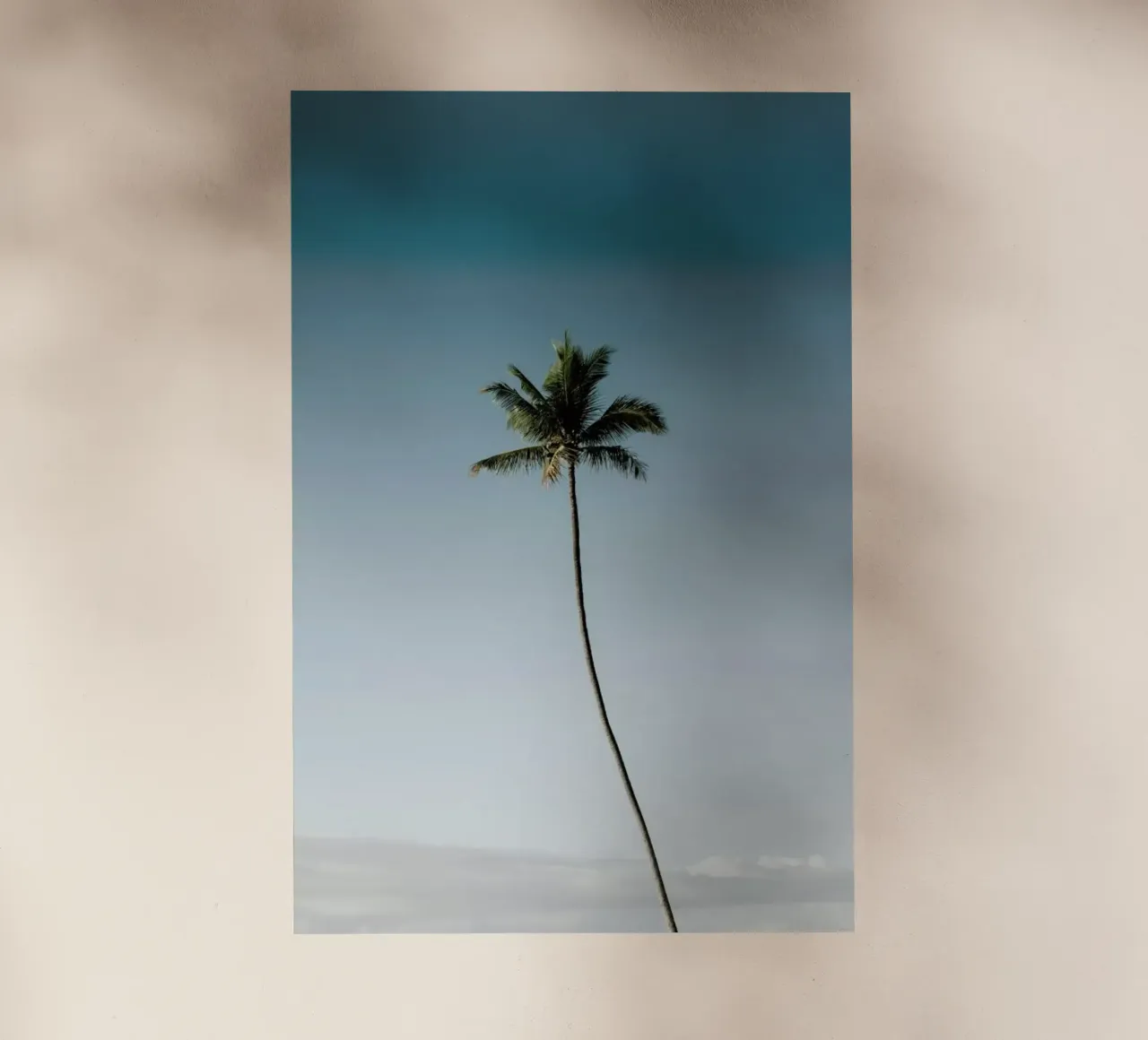 Tall Palm pellicola backlit da METROPOLIS