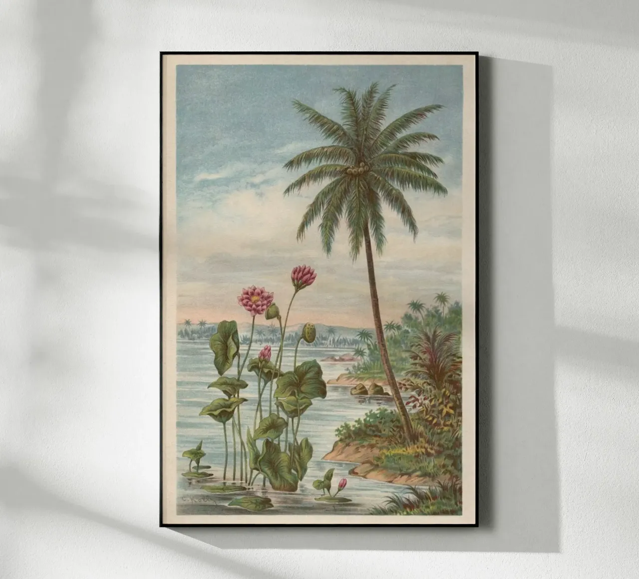 Lotus Flowers plexiglass da Flora & Fauna