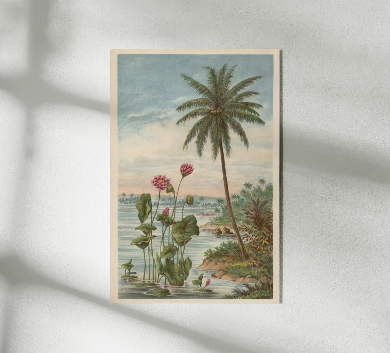 Lotus Flowers plexiglass da Flora & Fauna