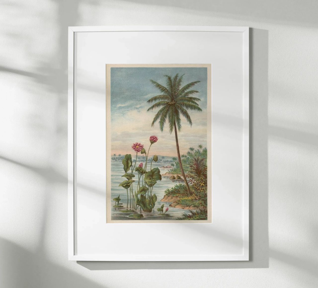 Lotus Flowers poster by Flora & Fauna