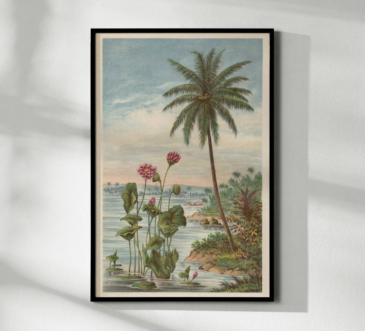 Lotus Flowers poster by Flora & Fauna