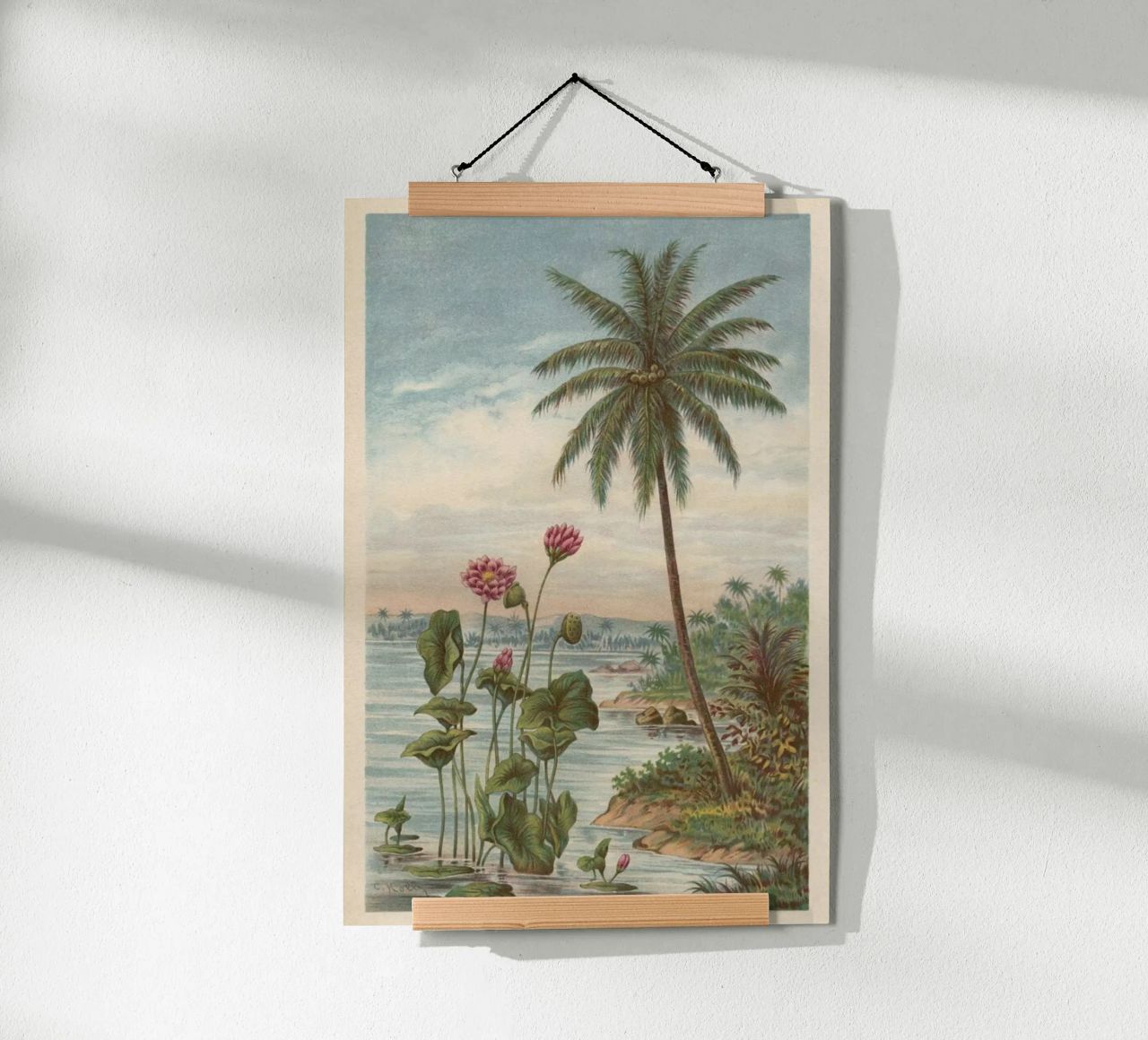 Lotus Flowers poster by Flora & Fauna